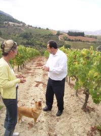 Mit Herrn Lantides im Agiorgitiko-Weinberg